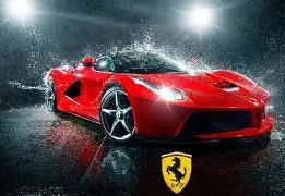 莎拉波与美,国网球公开,赛中的小威,DB真人视讯,DB真人,(Sports),DB视讯官网,DB真人官方平台