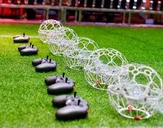 Sports,真人,产品,DB真人视讯,DB真人,(Sports),DB视讯官网,DB真人官方平台