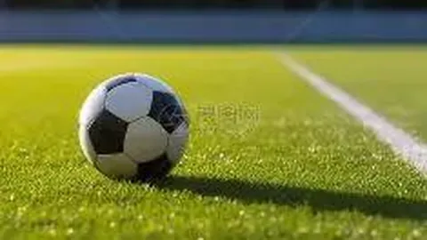 中国女排豪取十一连胜，世界杯五度封后荣耀再续