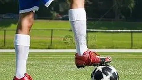 DB真人 (Sports) 产品 110428 f3c