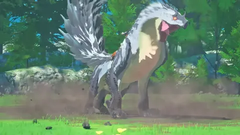 国足决战在即，莲花球场见证中国红盛放